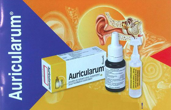 auricularum chữa viêm tai